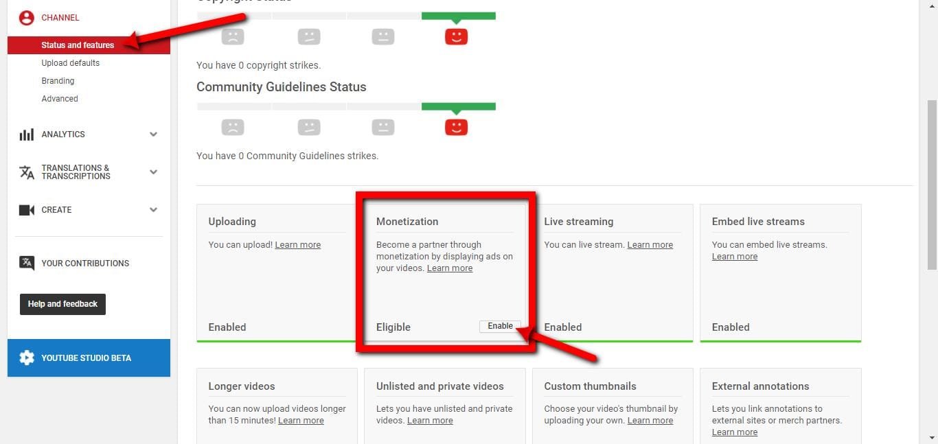 تحقيق الدخل