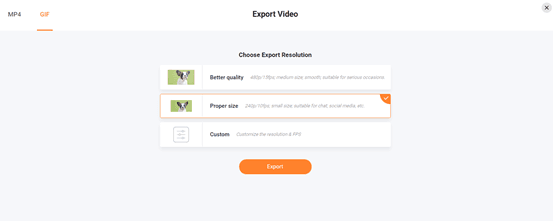 export video